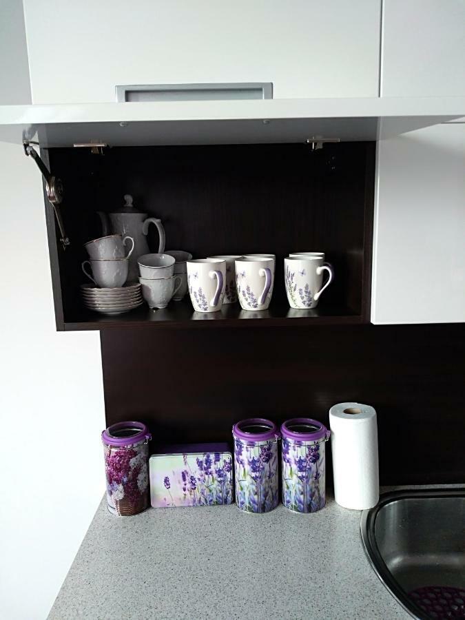 3-Pokojowy Apartament Villa Park - Top Location Olsztyn  Esterno foto